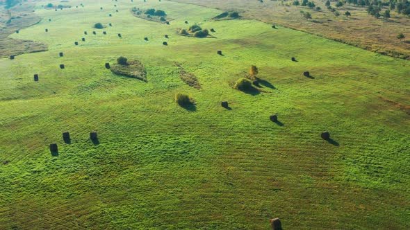 Aerial View of a Green Field with the Sun at Sunset