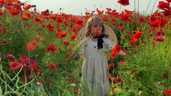 Happy girl in a field of blooming red poppies. Leisure in nature. Enjoying