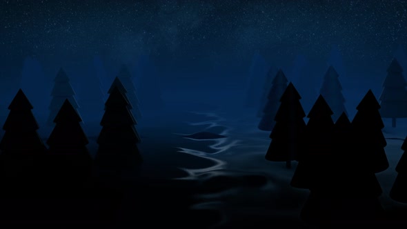 Dark silhouettes of coniferous trees against the night sky