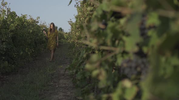 Summer Happiness Freedom Beauty Female In Dress Walks In Vineyards