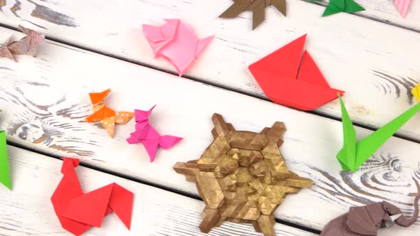 Collection of Different Origami Models.