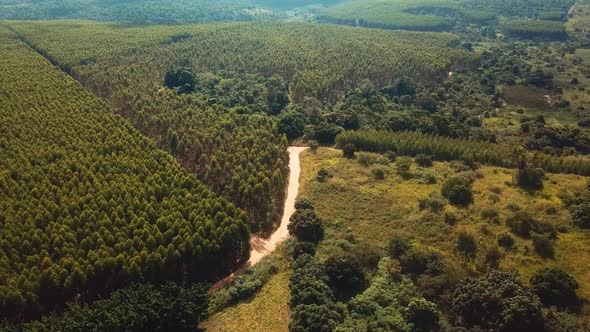 Beautiful aerial drone shot flying backwards over a lush green forest with rural roads running throu