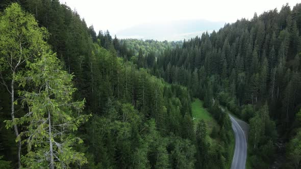 Ukraine, Carpathian Mountains: Beautiful Mountain Forest Landscape. Aerial