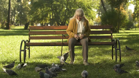 Happy Old Lady Sitting on Bench in Park
