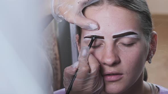 Building the Shape of Eyebrows Tint Procedure of Natural Henna Beauty Salon