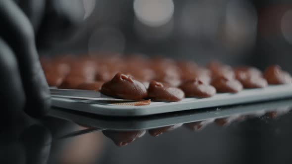Chef Chocolatier in Black Gloves Makes Small Candies in Slow Motion, Making the Truffles, Cooking