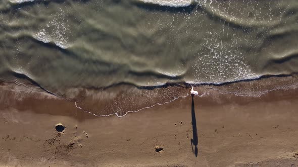 Top View of Texture Waves Sandy Beach