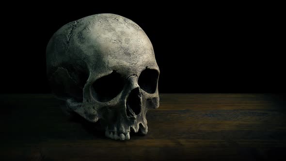 Old Skull On Table Moving Shot