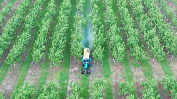 Tractor Spraying Apple Trees In Garden With Herbicides And Pesticides Aerial