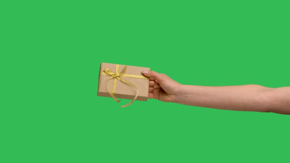 Female Hands Giving a Gift Box on the Background of a Green Screen Chroma Key