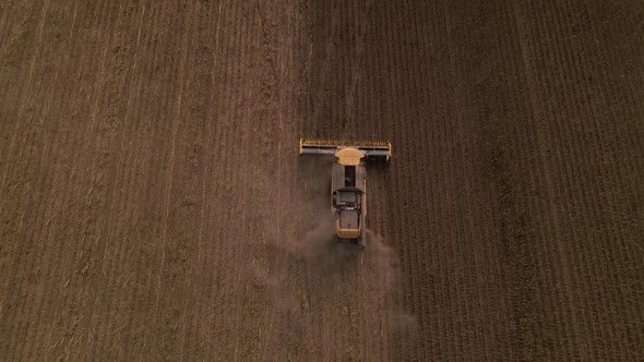 Aerial View of Combine Harvester Working on a Field