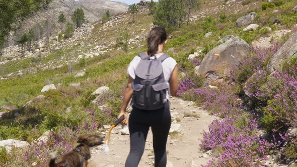Woman hiking walking in nature landscape with dog in Geres national park, in Portugal