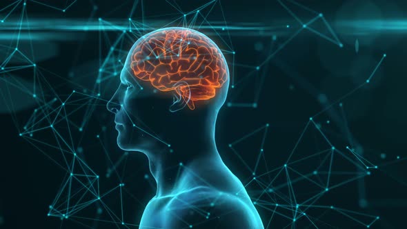Rotating Blue Conceptual Human Brain alt