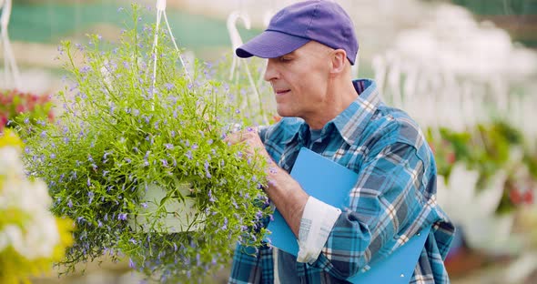 Agriculture Confident Male Gardener Examining Potted Flower Plant