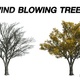 Wind blowing American Elm Tree - VideoHive Item for Sale