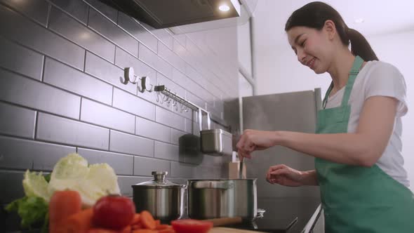 happiness cheerful asian wife wear apron cooking dinner for her family in kitche