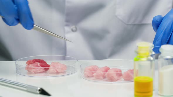 Medical Scientist Specialist Putting Meat in Glass Dish with Tweezers and Closing It in Food