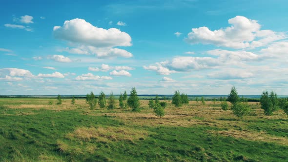 Big Meadow on a Sky Background