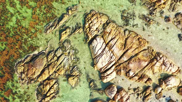 Azure crystal clear sea with seaweed and rock in the water. Aerial background