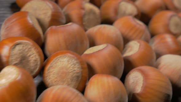 Corylus avellana European hazelnut filberts on wooden dark textured surface 4K 3840X2160 UltraHD vid