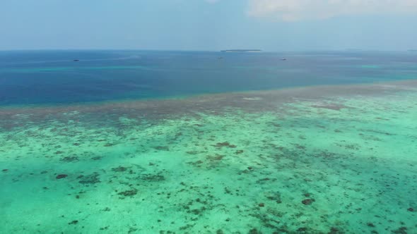 Aerial Drone: Uncontaminated Coastline Tropical Beach Caribbean Sea Coral Reef Palm Tree Woodland