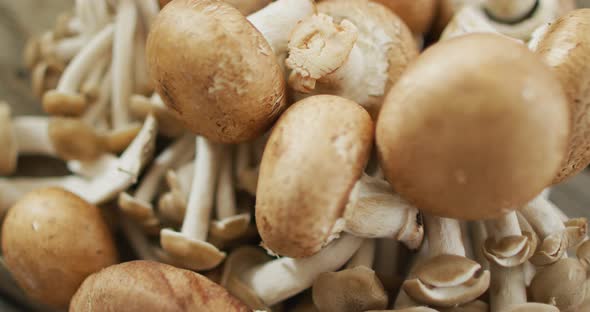 Video of close up of mushrooms on wooden background