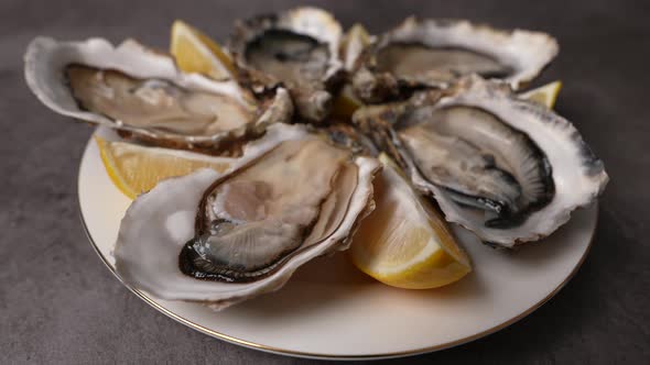 Fresh Oysters 09