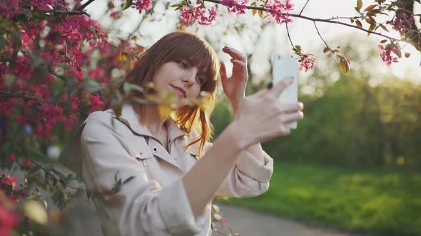 Young Attractive Redhaired Woman Taking Photos of Spring Flowers of Cherry or Sakura Blossoms on