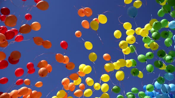 Many Colorful Balloons Rise and Fly Across the Sky. Red, Blue,orange, Yellow and Green Balloons Fly