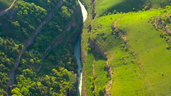 Aerial Top View on Lot of Driftwood in Bluer River on Aksu Canyon in AksuZhabagly Nature Reserve