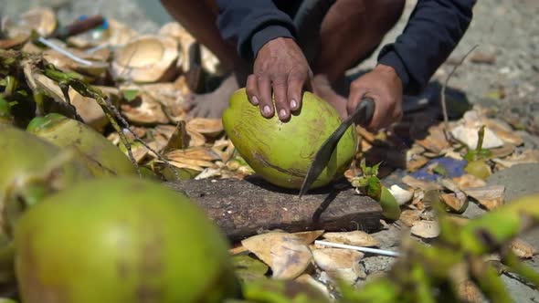 Close Up Shot of Young Man Cutting a Ripe Organic Green Coconut on the Ground with a Sharp Machete