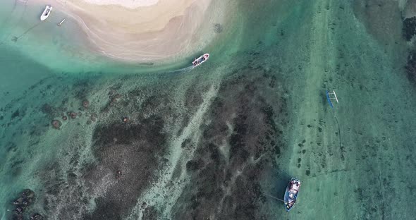 Aerial view of fishing boat passing over a sandy beach with crowded fish swimming in the water  