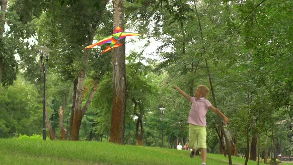 Little Boy Flying Kite in Park, Happy Childhood, Freedom Inspiration, Slow-Mo