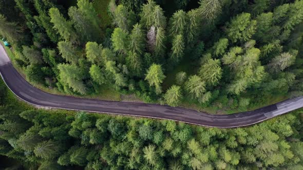 Empty mountain road across a pine forest in the Dolomite mountains northern Italy, Aerial drone top