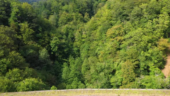 Old Miners' Railway Bridge in the Mountains and Forests