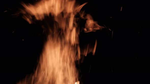 Fire Flames on a Black Background Bonfire Burning at Night