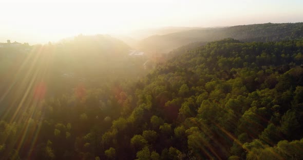 Moving Forward Over Forest in Sunset or Sunrise Summer Day with Sun Flare