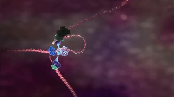 DNA attack of the virus4185.mov alt