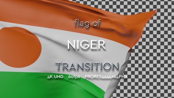Flag of Niger transition | UHD | 60fps