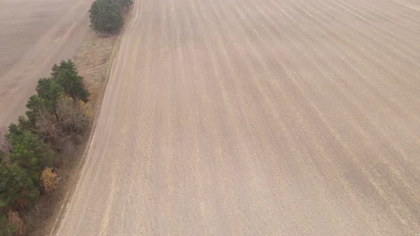 Land in a Plowed Field in Autumn