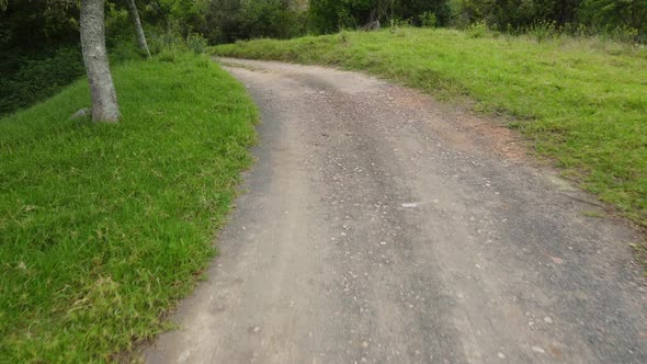 High Angle View Traveling Through Pathway in Nature.