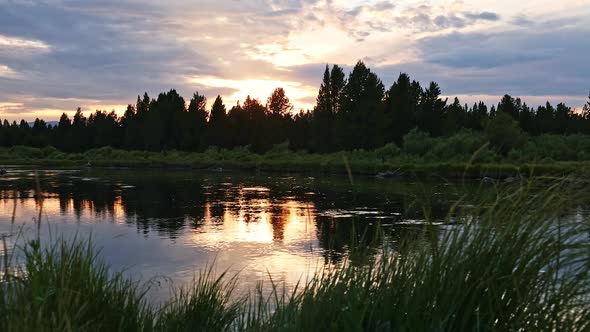 Relaxing view by the Madison River at sunset looking through the grass