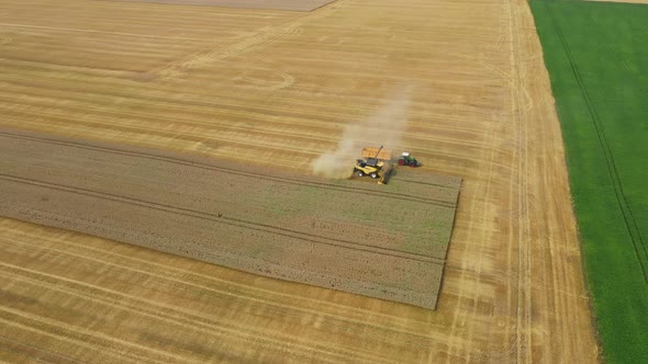 Harvester Harvests Wheat Crop On Field