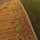 Aerial Cinematic Clip Drone Flying Over Wheat Field After Strong Hurricane - VideoHive Item for Sale