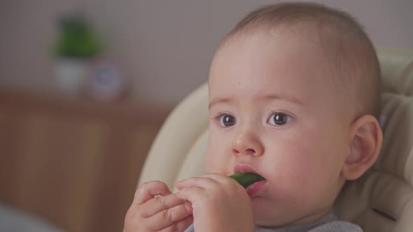 toddler eating a green cucumber sitting on a feeding chair, close-up