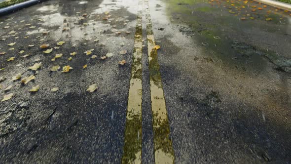 Wet Road