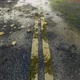 Wet Road - VideoHive Item for Sale