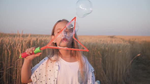 Little Girl Blowing Soap Bubbles in Wheat Field at Sunset Time. Slow Motion Video.