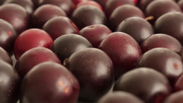 Red cherry plum on table 4K 2160p 30fps UltraHD tilting footage - Fresh fruit Prunus cerasifera clos
