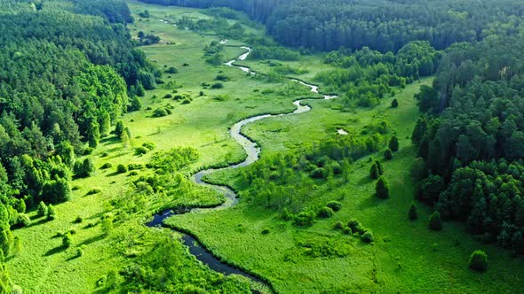 Stunning curvy river and green swamp, aerial view, Poland